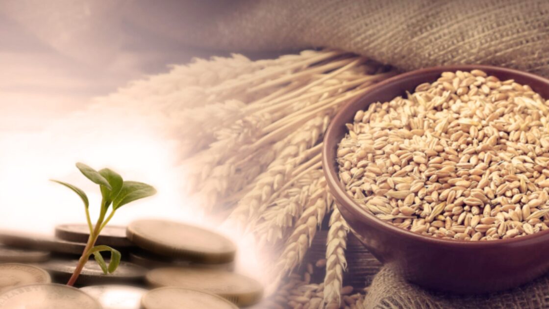 Pitir sadaqany qaı ýaqytqa deıin berý qajet?