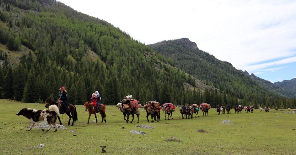 Aýylym kóship barady...