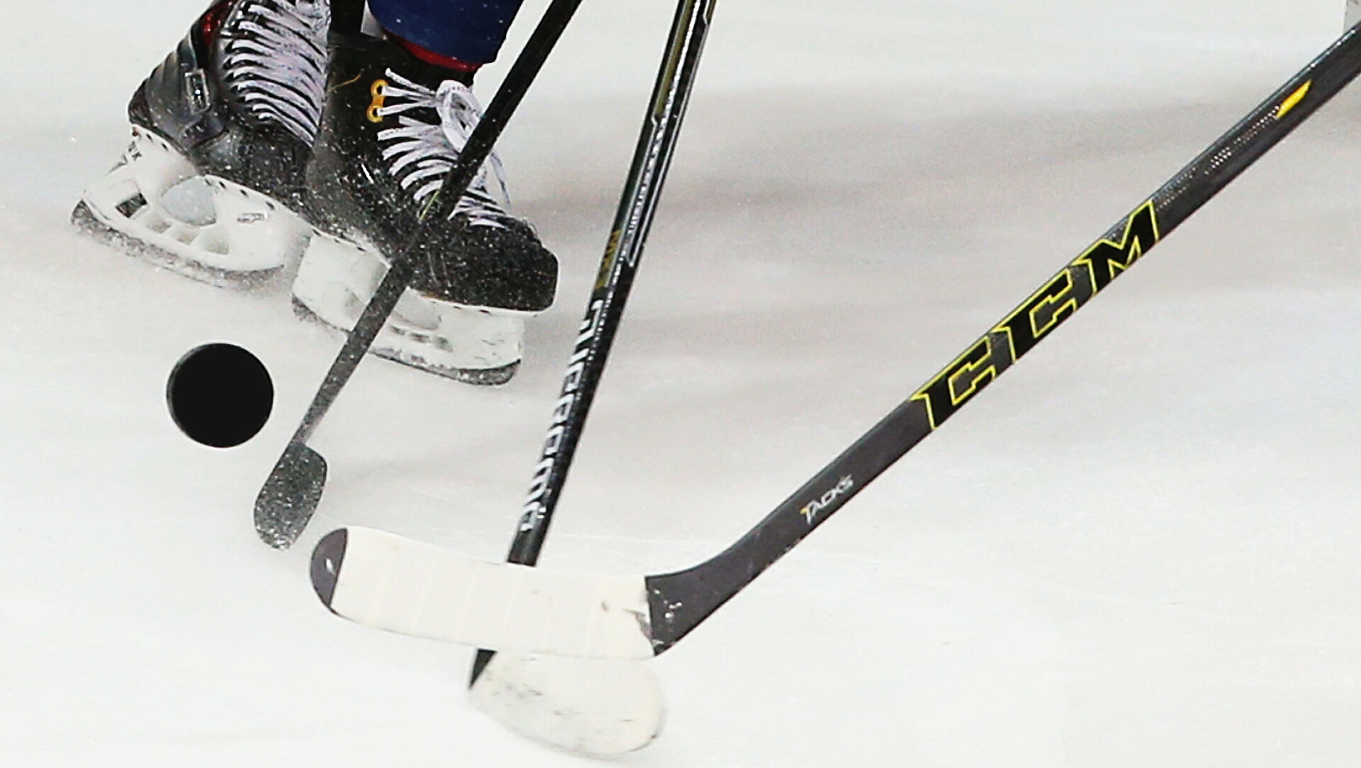 Koreıany qarsylas qurly kórgen joq