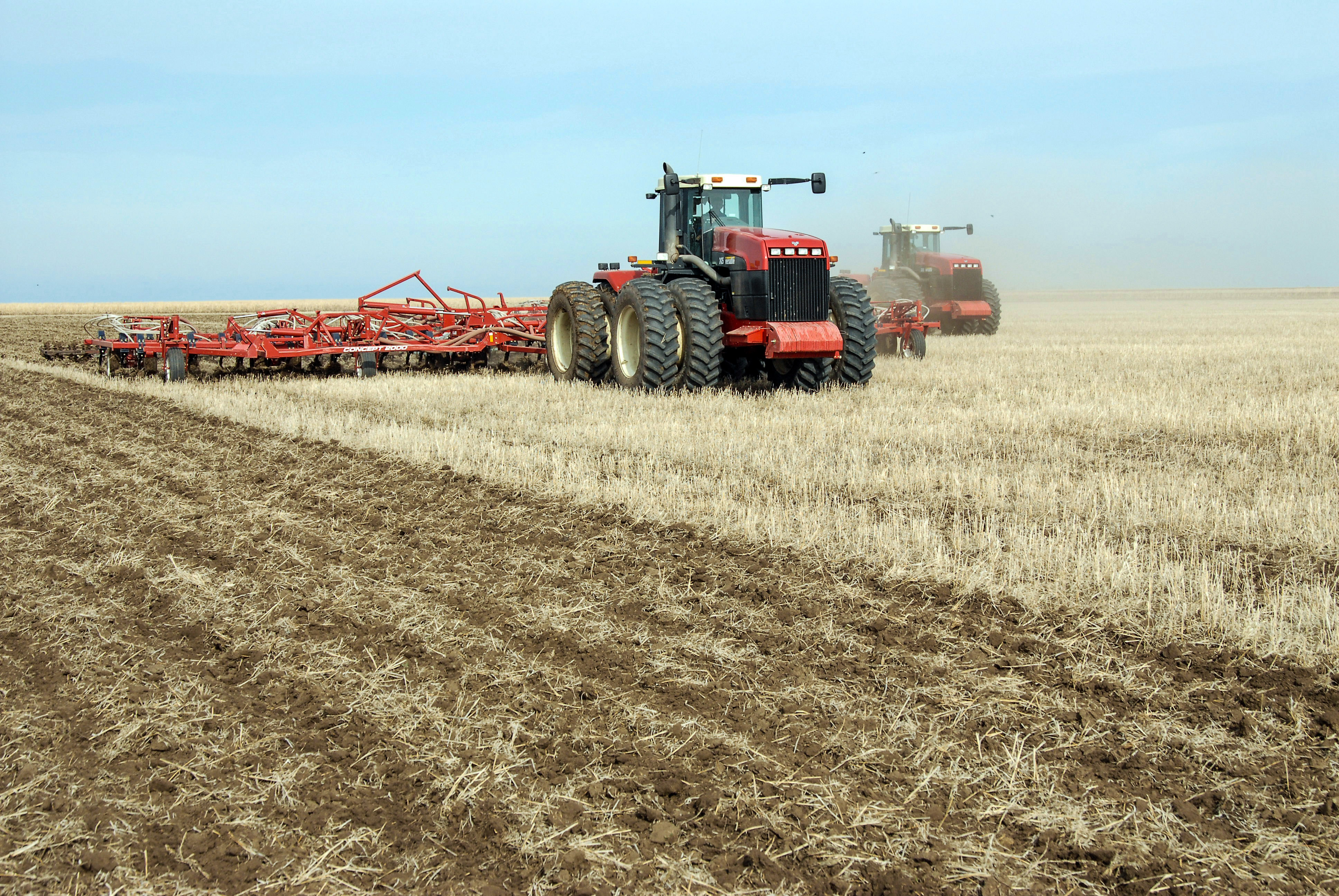 Sharýany ne alańdatady?