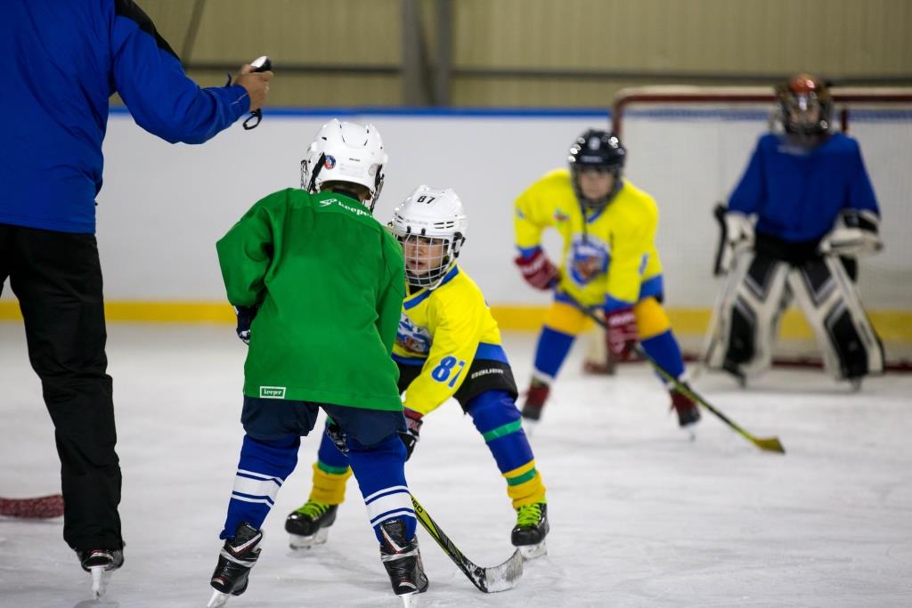 Almatyda balalardy tegin seksııalarǵa qabyldaý qashan bastalady?