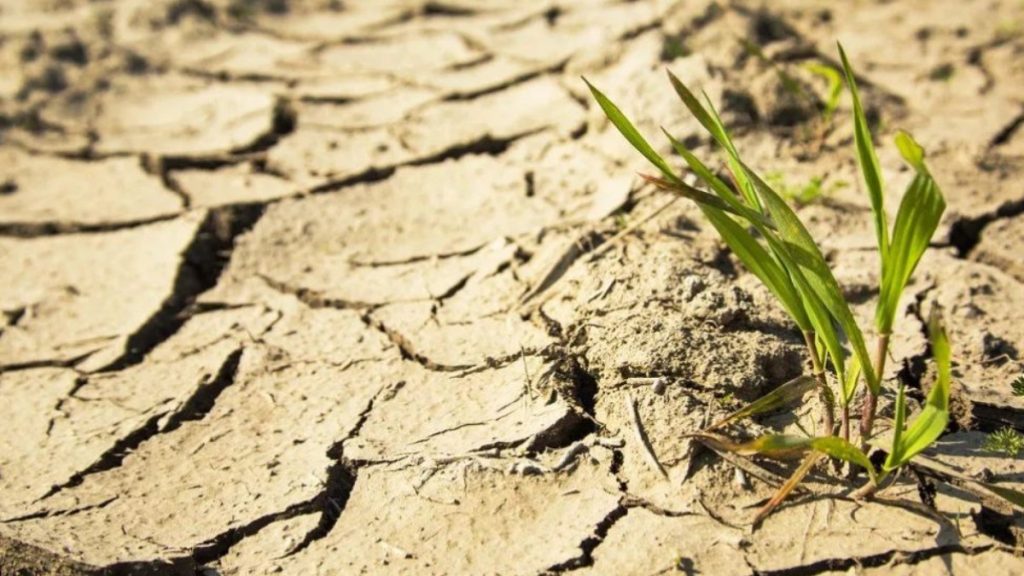 Mamyr aıynda keıbir óńirlerde qurǵaqshylyq bolýy múmkin