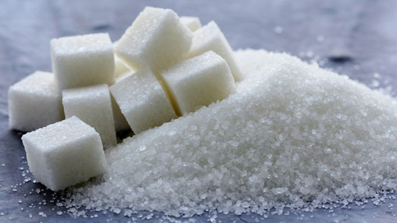 Qant ónerkásibiniń máselesi qalaı sheshiledi?