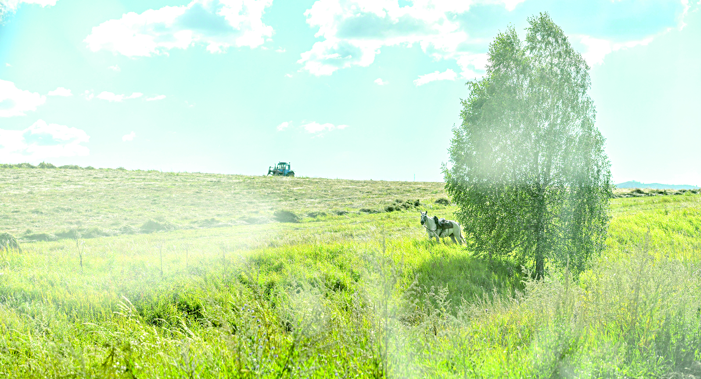 Latıfýndıster zańǵa baǵynbaı ma?