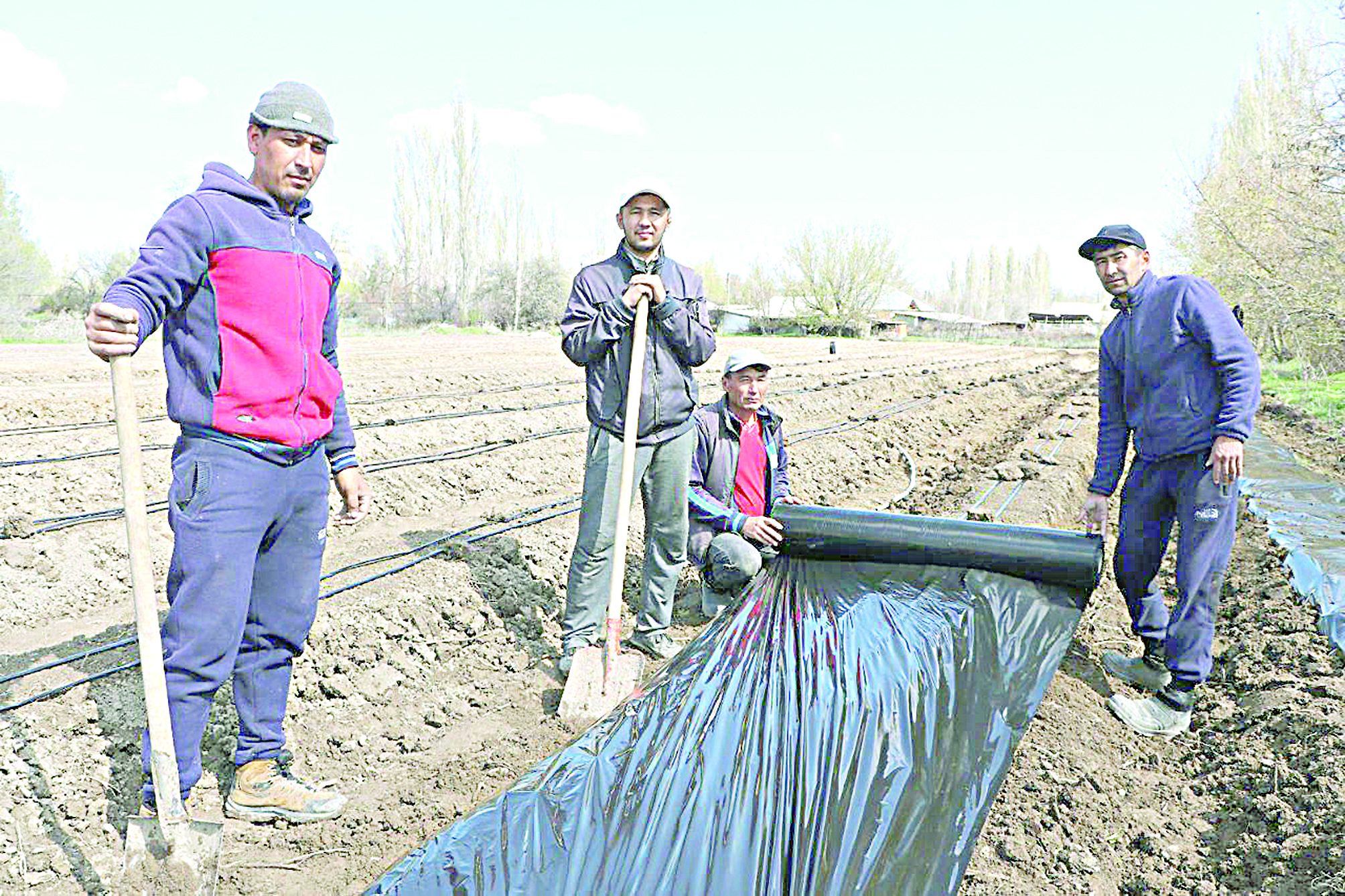 Qulpynaı egemin dep qulshynyp otyr
