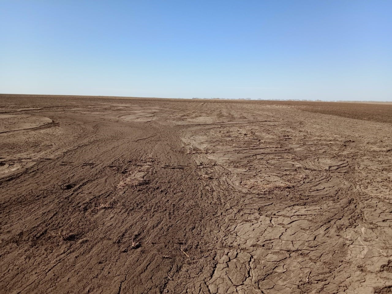 Aýyspaly egis  – jerdi azdyrmaýdyń jaqsy amaly