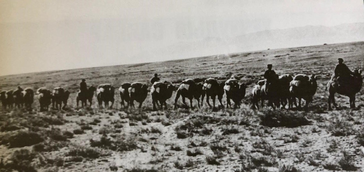 «Aq shom» aınalymy