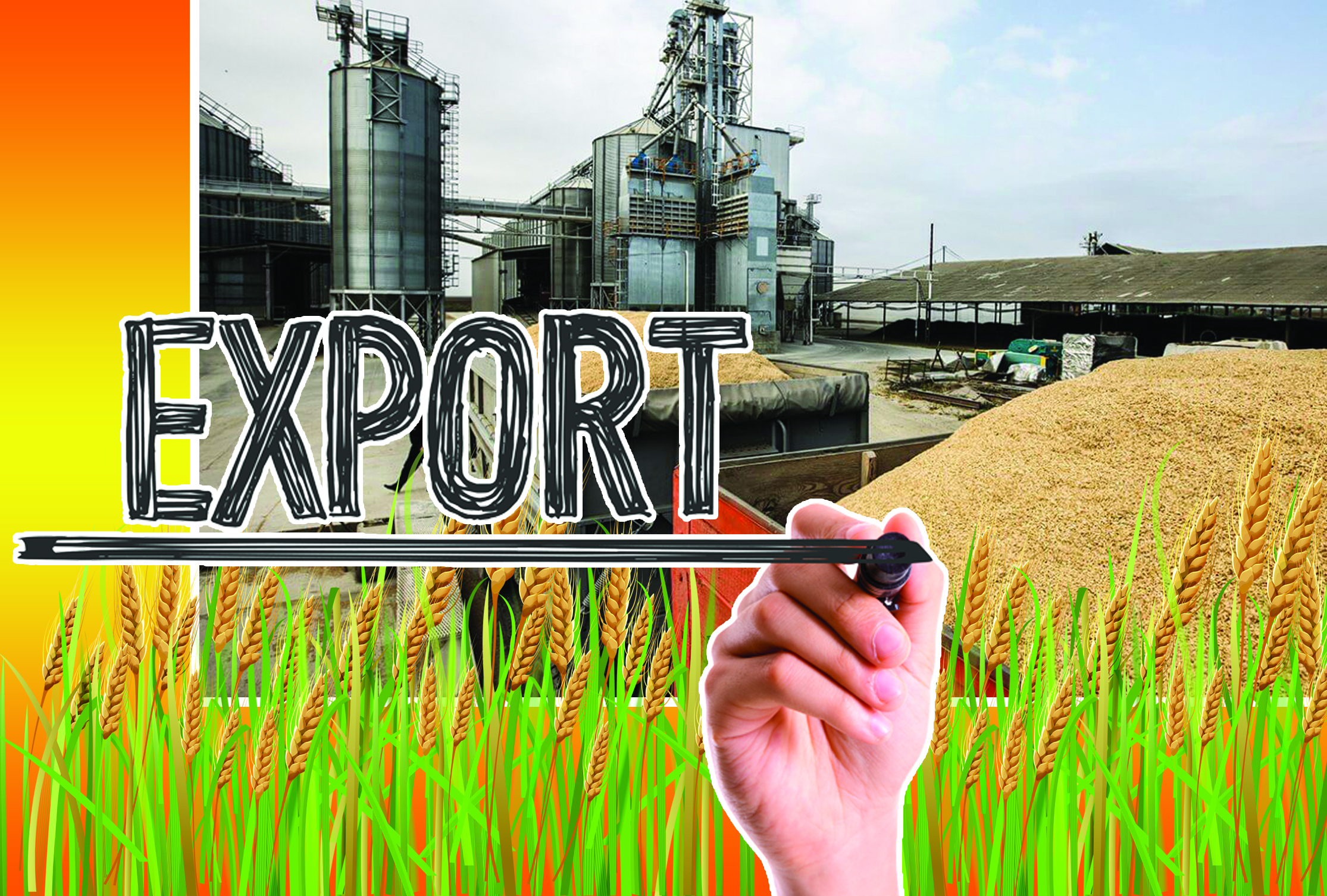 Astyq naryǵyndaǵy alańdaýshylyq