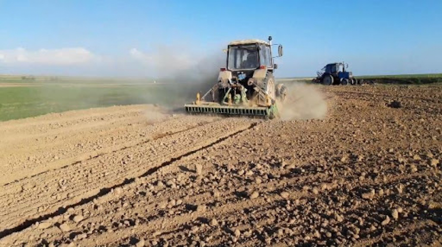 Kómegi kóp «Keń dala»