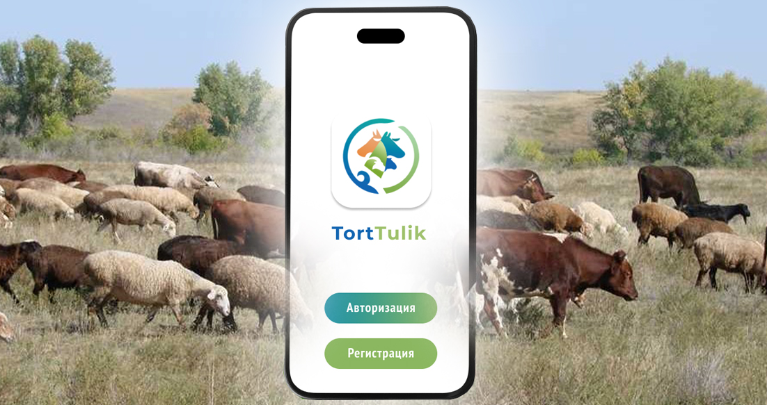 «TortTulik» – mal baqqandardyń mobıldi qosymshasy