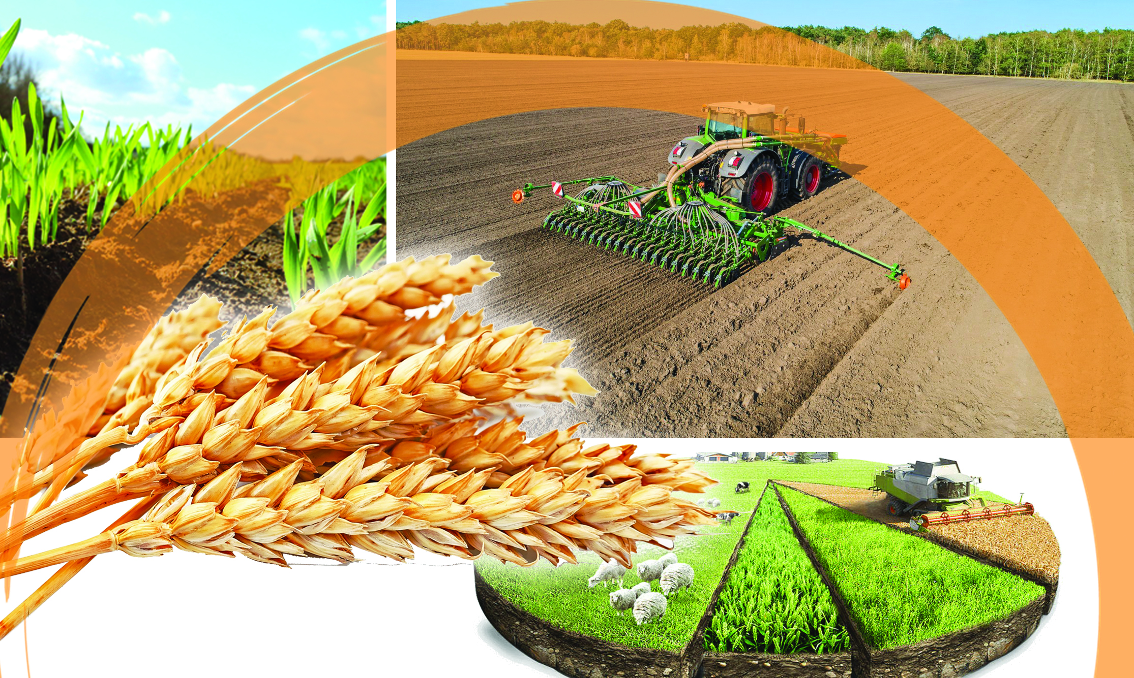 Kóktemgi egis qarsańyndaǵy kıkiljiń