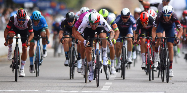 Úzdikterge qosyla almady