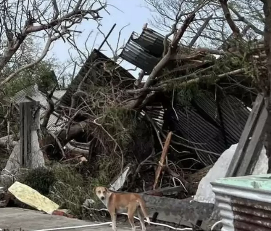 «Mokko» sıklony: Mıanmada 6 adam qaza tapty