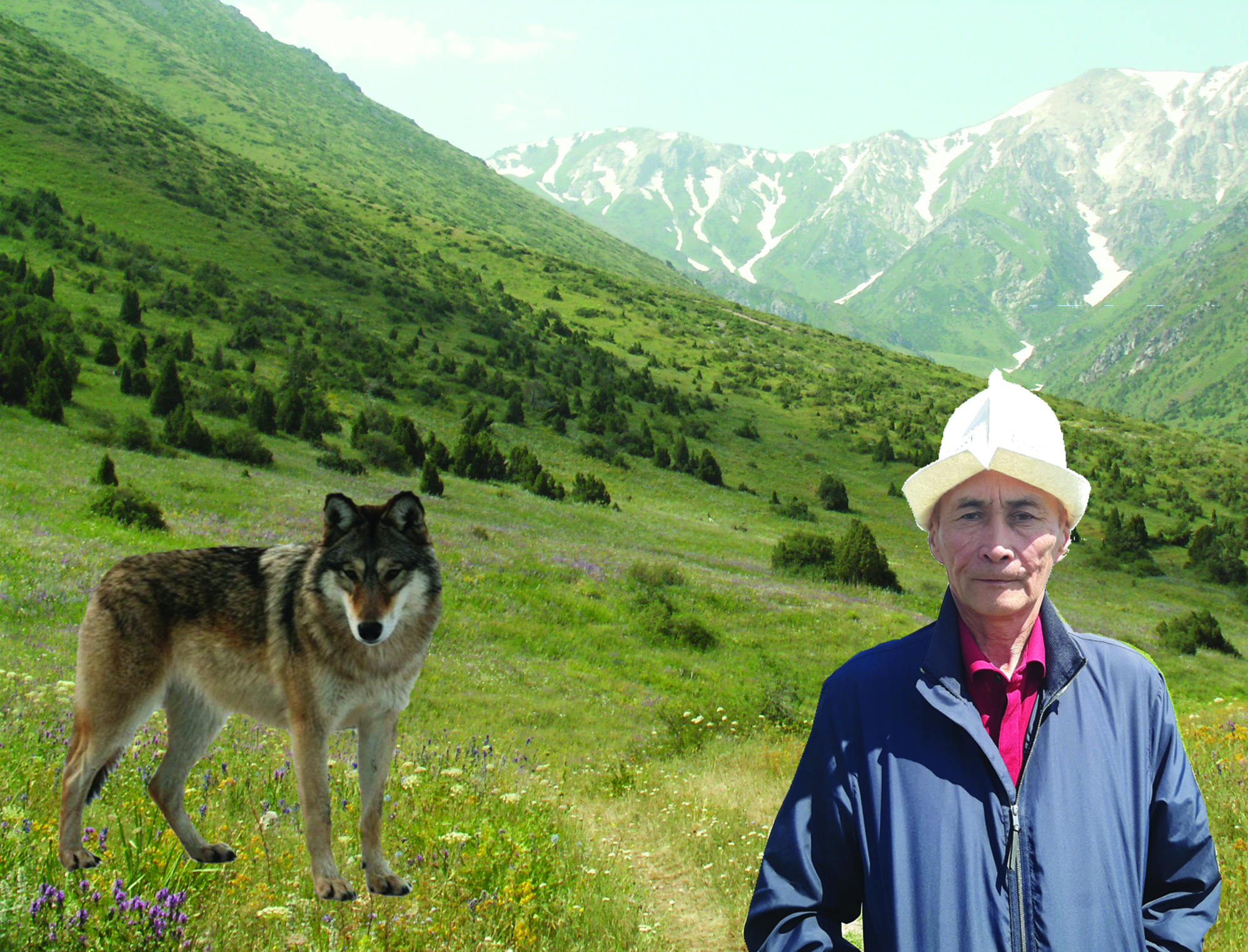 Kók bóri nege kórinbeı ketti?