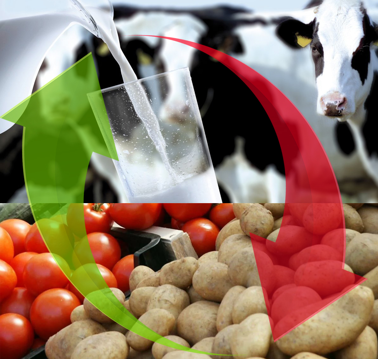 О́zimizdi qamtamasyz etýdiń ózektiligi