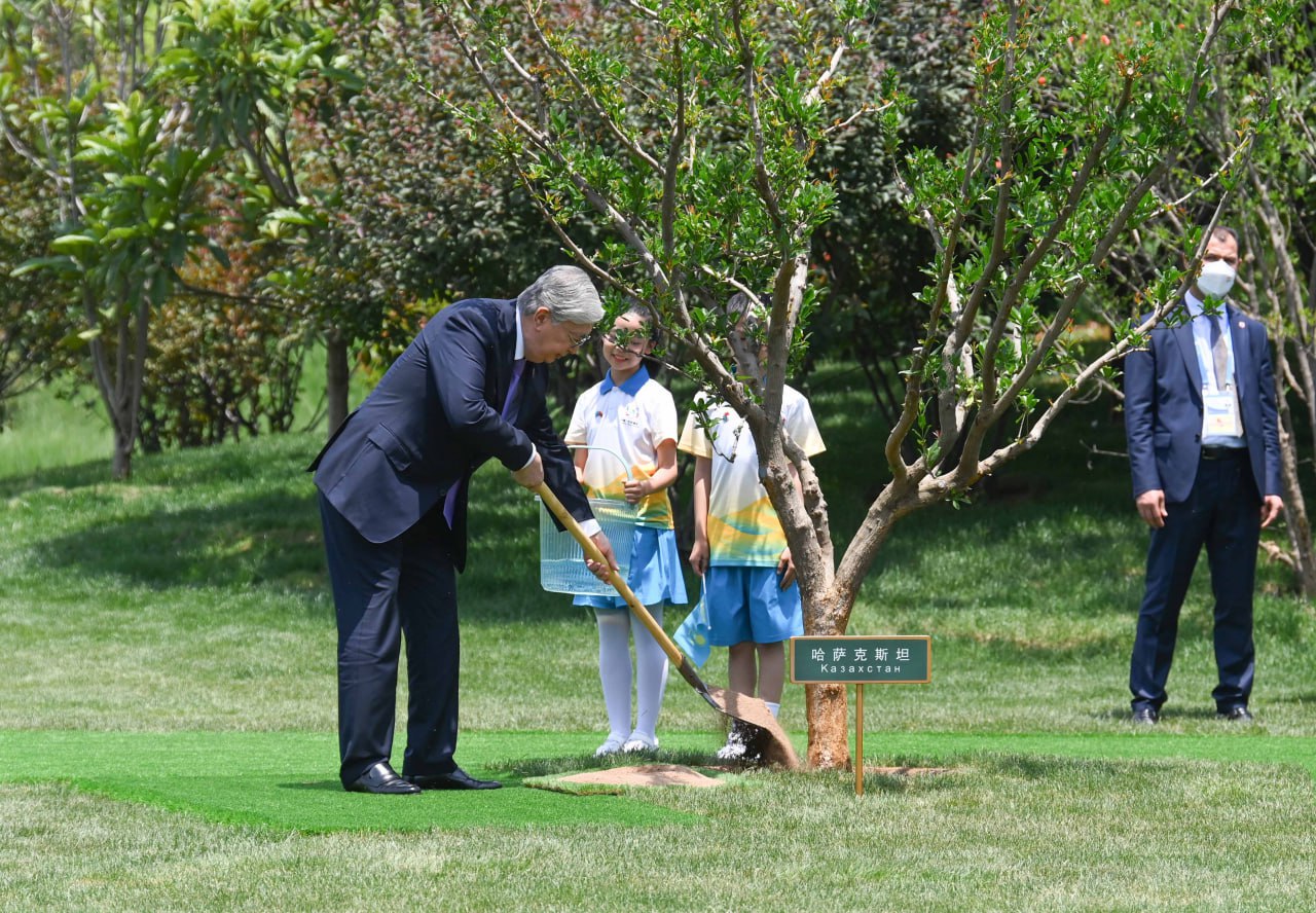 Memleket basshysy aǵash otyrǵyzý rásimine qatysty