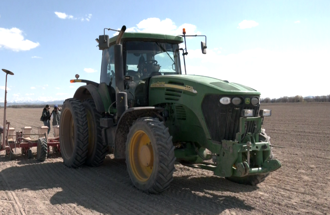 Kóktemgi egis qyzǵan shaq