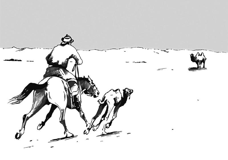 Bota qaıyrǵan jorǵa