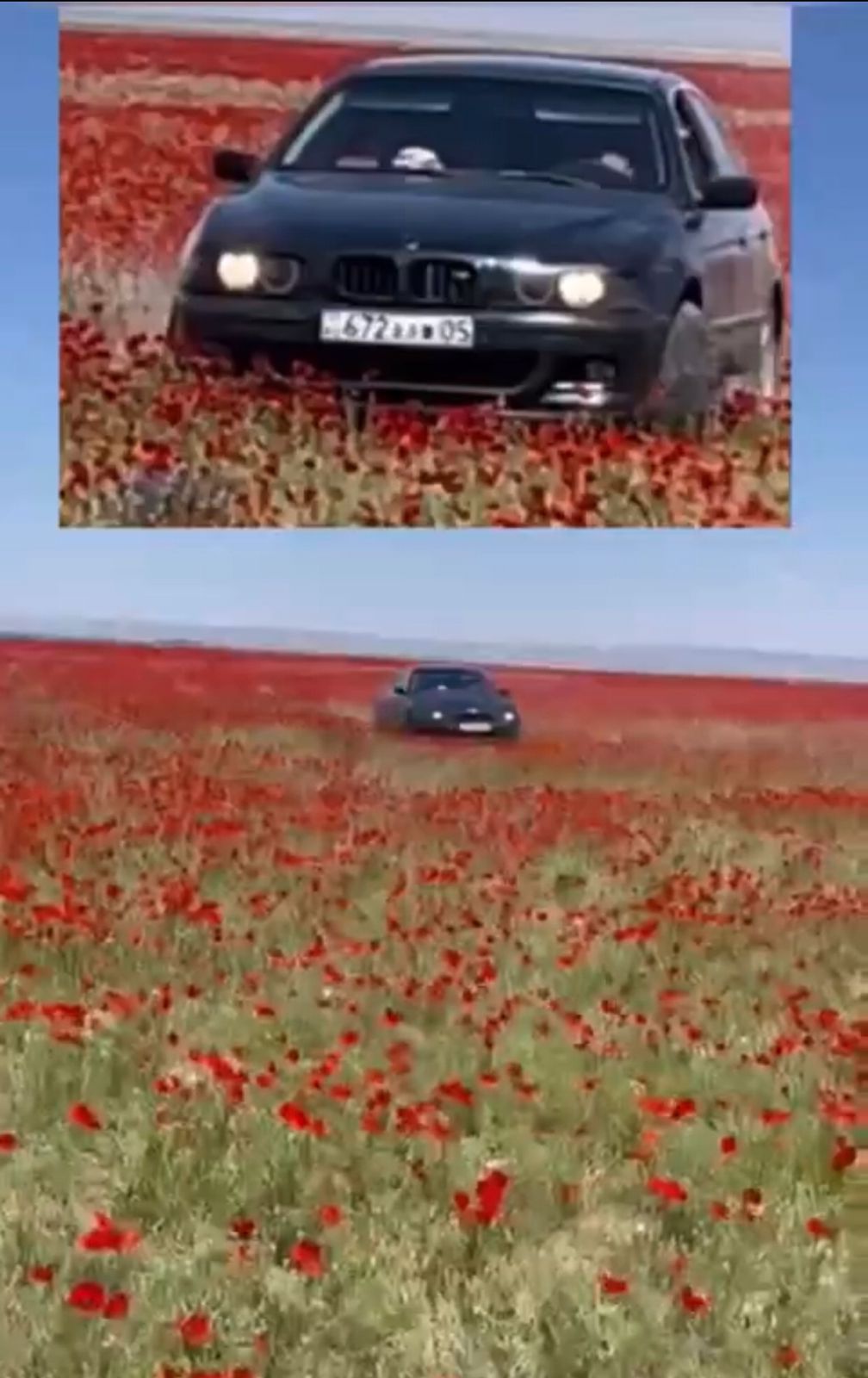 Almaty mańynda gúlder alqabyn taptap ótken júrgizýshi kópshiliktiń ashýyn týǵyzdy