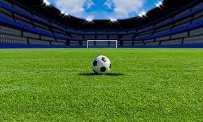 Damý týrnırine qatysty