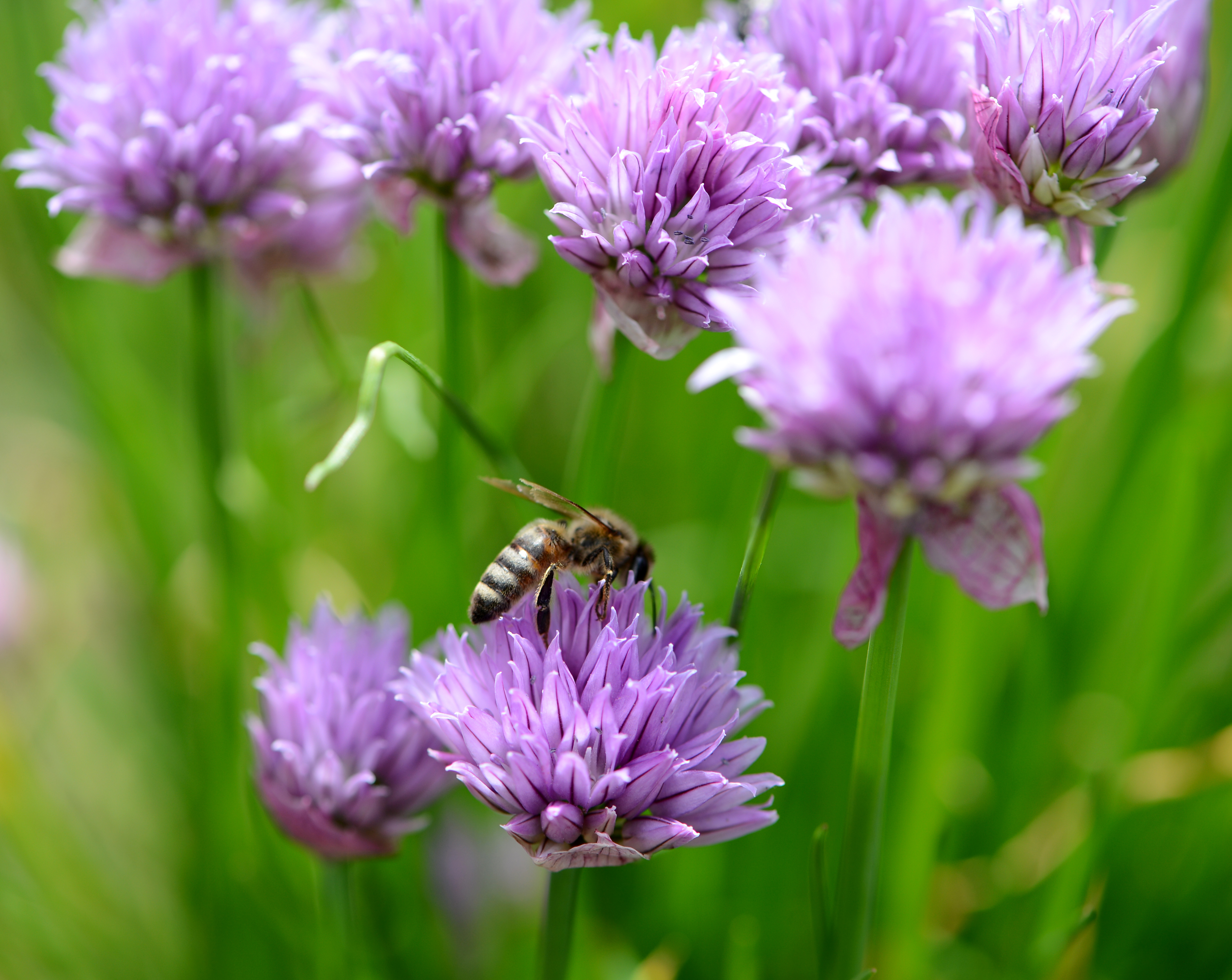 О́simdikter dúnıesin saqtaý jańa zańda qanshalyqty qamtyldy?