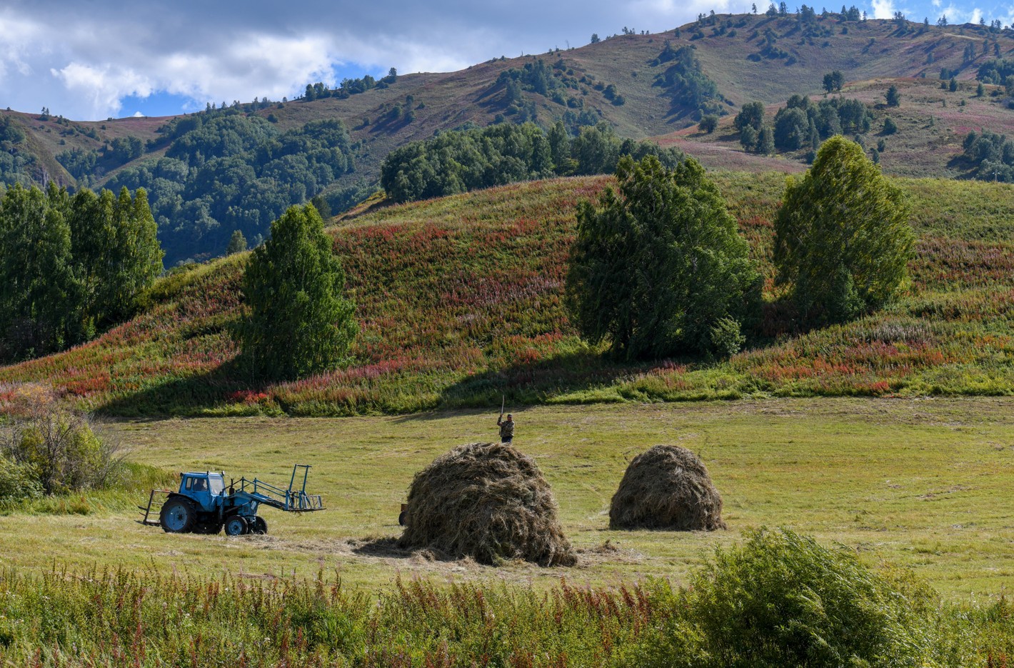 Orny bar aýyldy ońaltaıyq