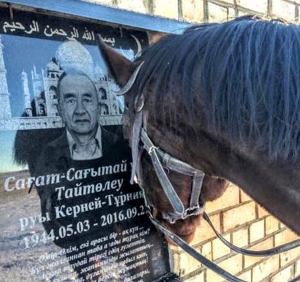 Iesine zııarat etken jylqy