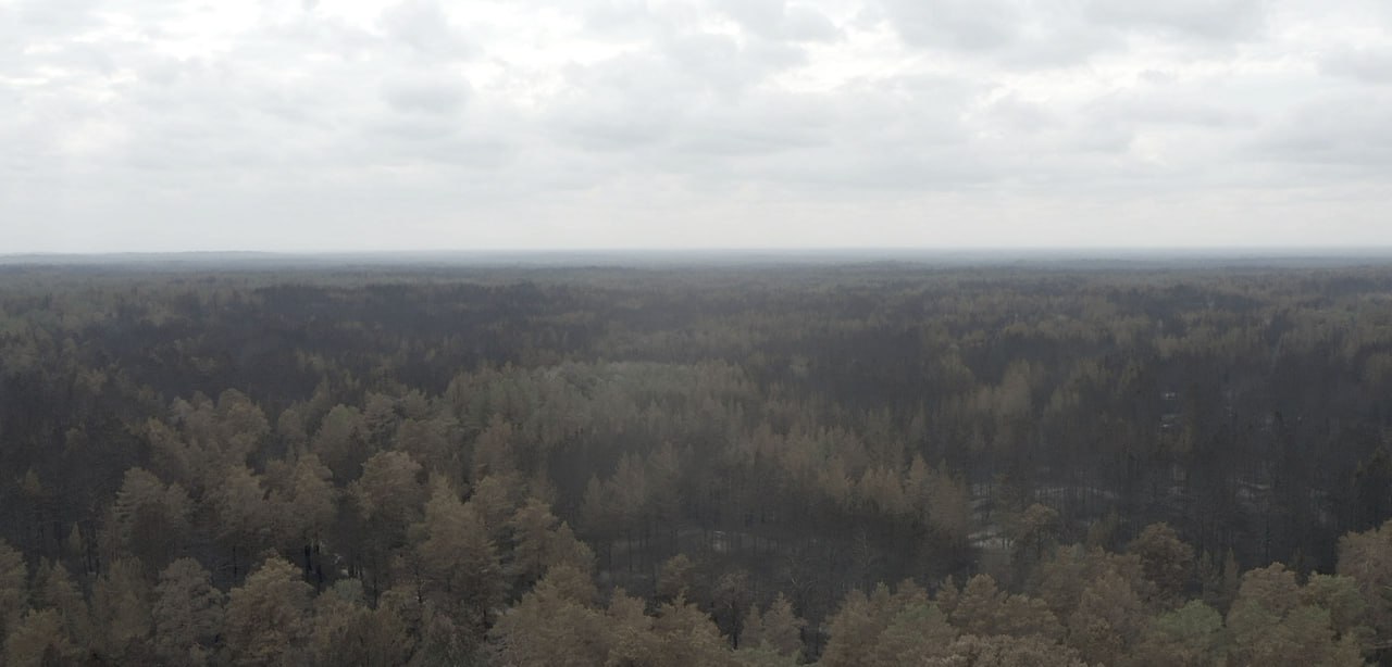 Abaı oblysy: Jalyn sharpyǵan aımaqtarǵa 14 tikushaq tartyldy