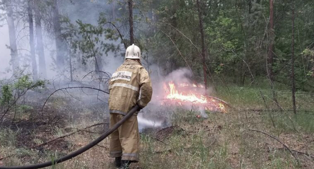 Abaı oblysyndaǵy alapat órt kezinde opat bolǵandardyń esimderi anyqtaldy
