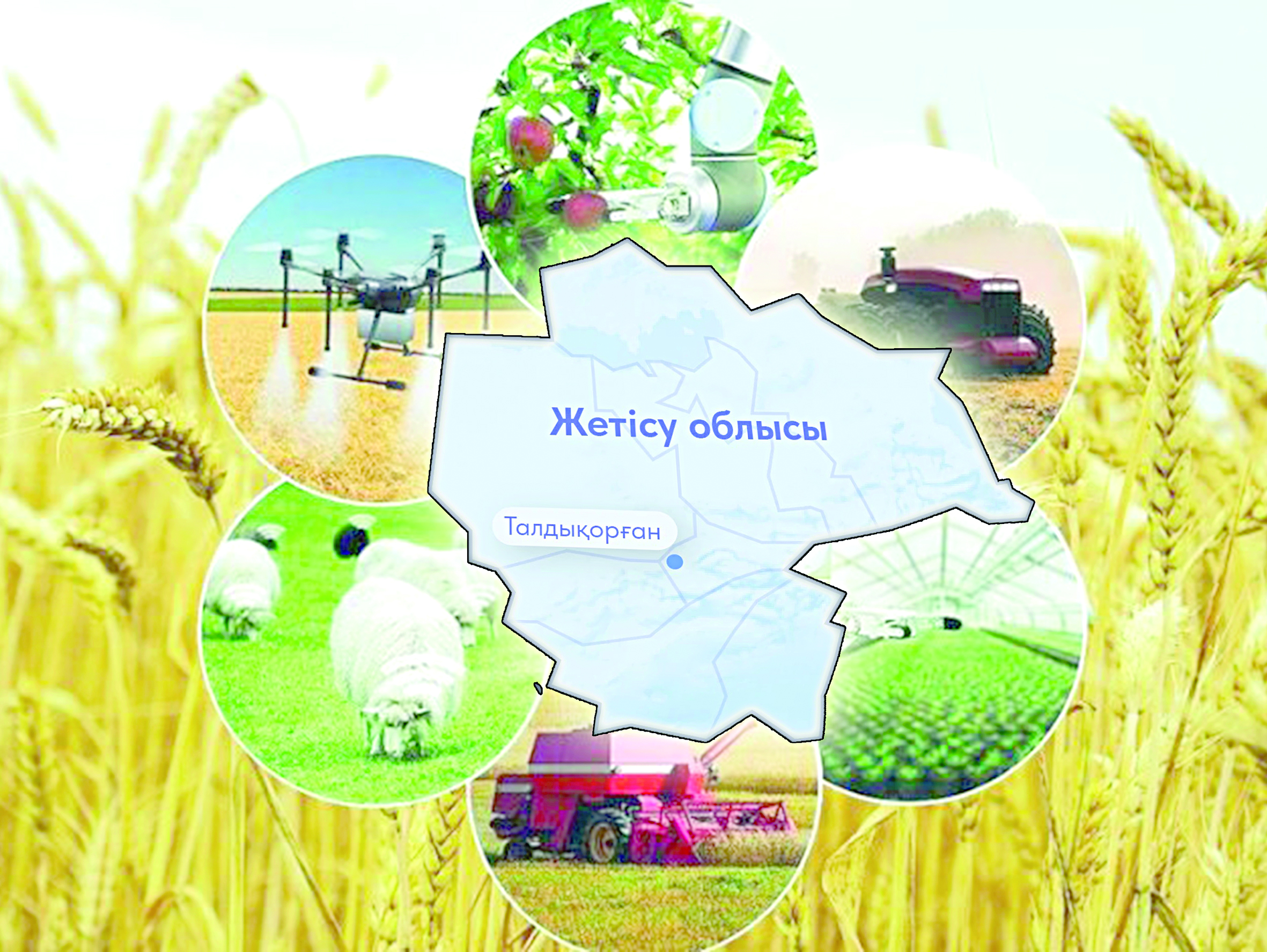 Aýyldy qaıtsek kórkeıtemiz?