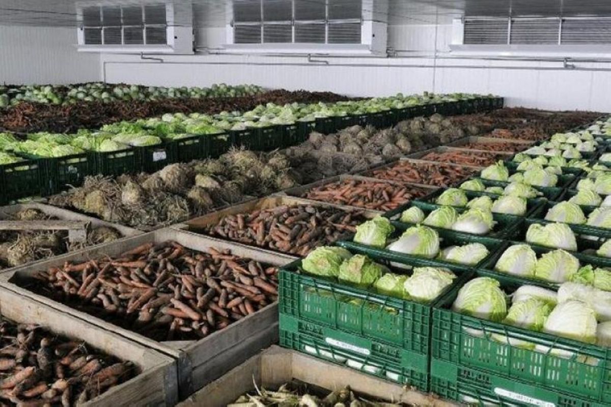 Qolda bar qoımalar kádege jarap tur ma?