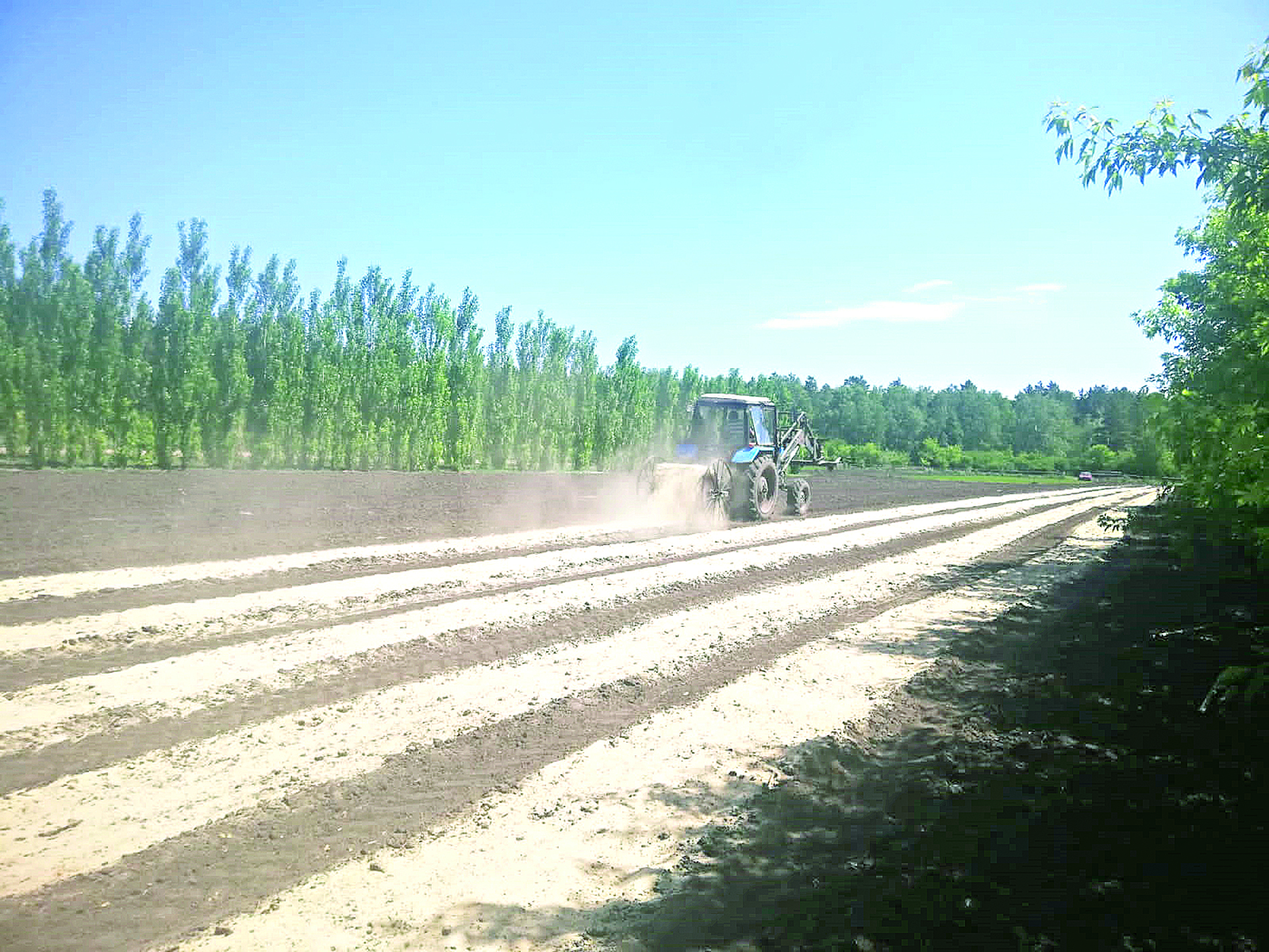 Ormanymyzdy órt shalmasyn desek...