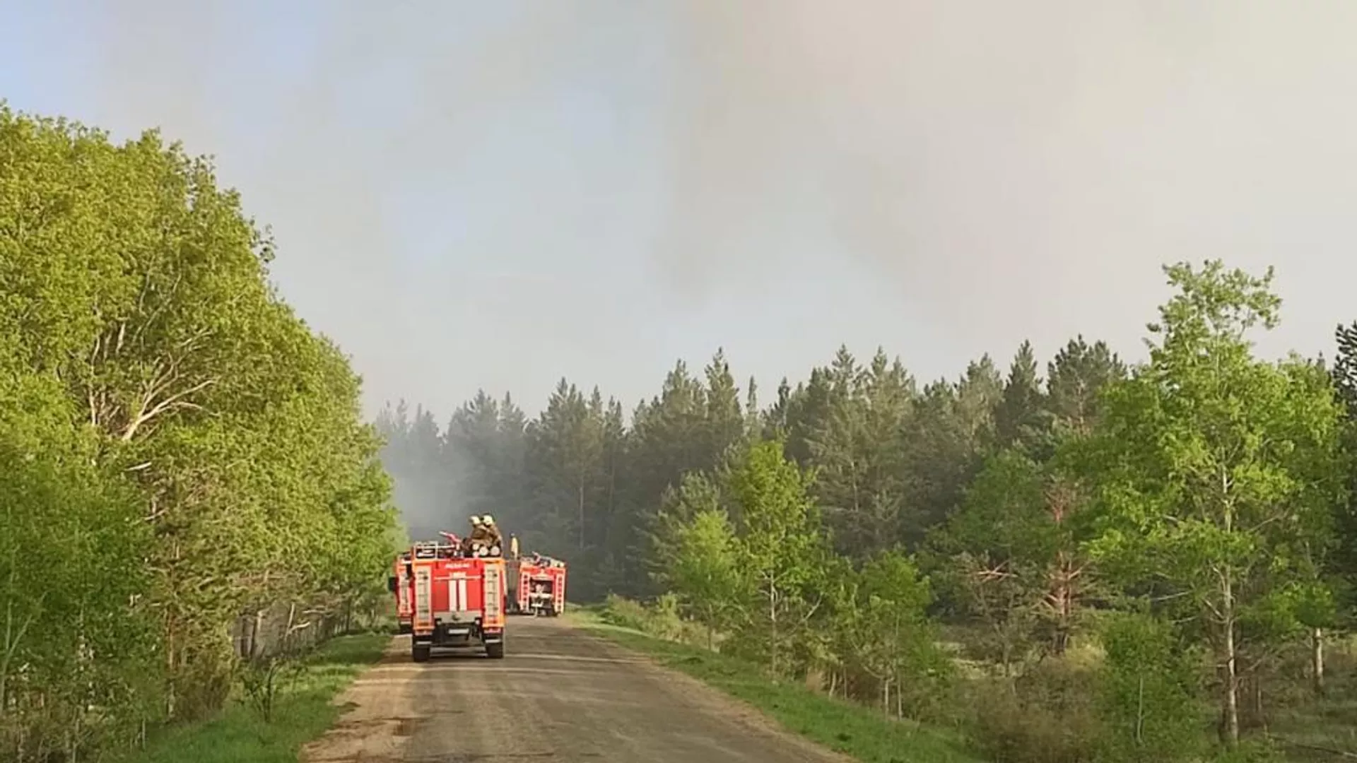 Katonqaraǵaı ulttyq tabıǵı parkindegi órt sóndirildi