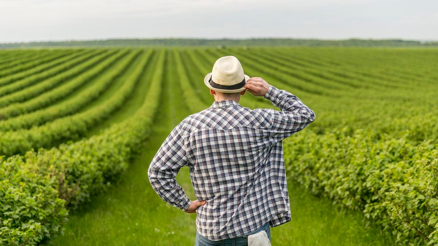 Sýbsıdııa sýdy únemdeıtin fermerlerge beriledi - AShM