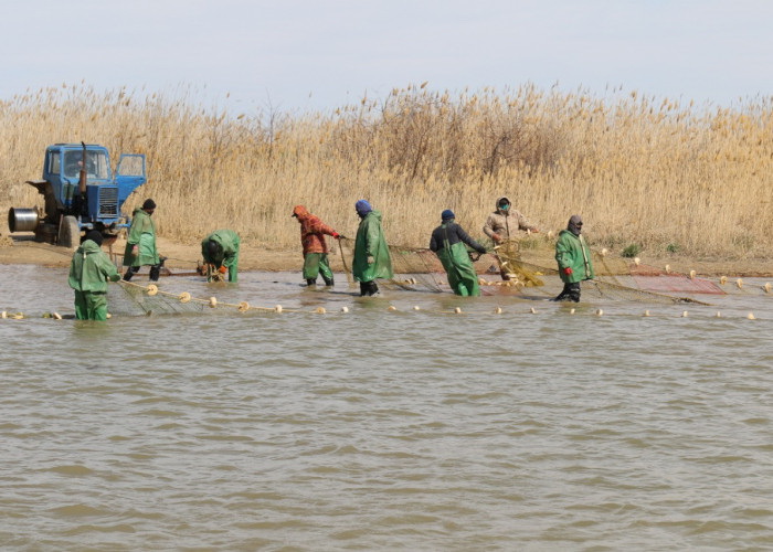 Balyq sharýashylyǵyndaǵy betburys