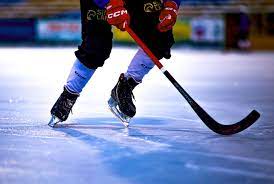 Aldaǵy josparyn jarııalady