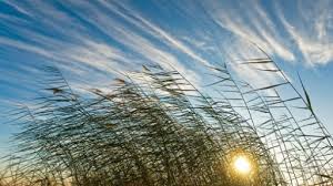 Búgin aýa raıy qandaı bolady?