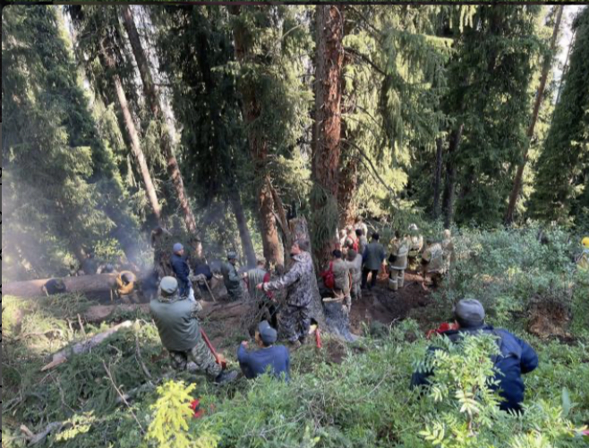 О́rt sóndirýshiler Kólsaı kólderindegi órtti jedel oqshaýlady