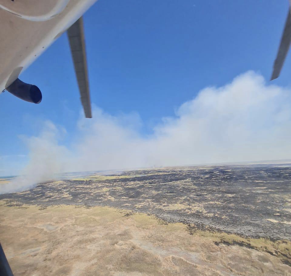 Almatyda qamys órtenip jatyr