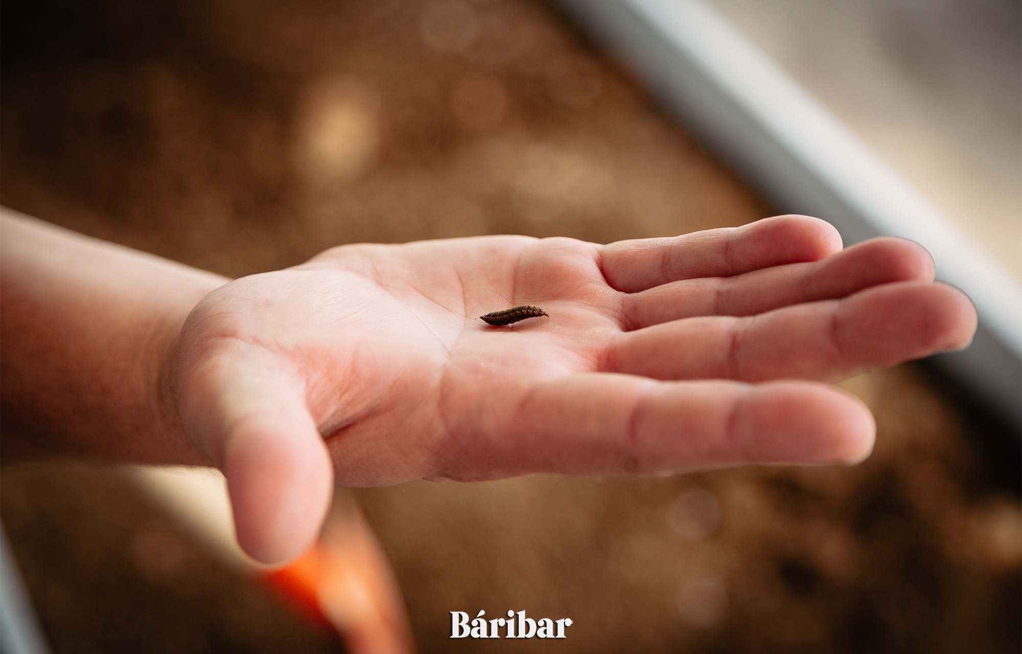 Organıkalyq qaldyqty óńdeıtin ádis