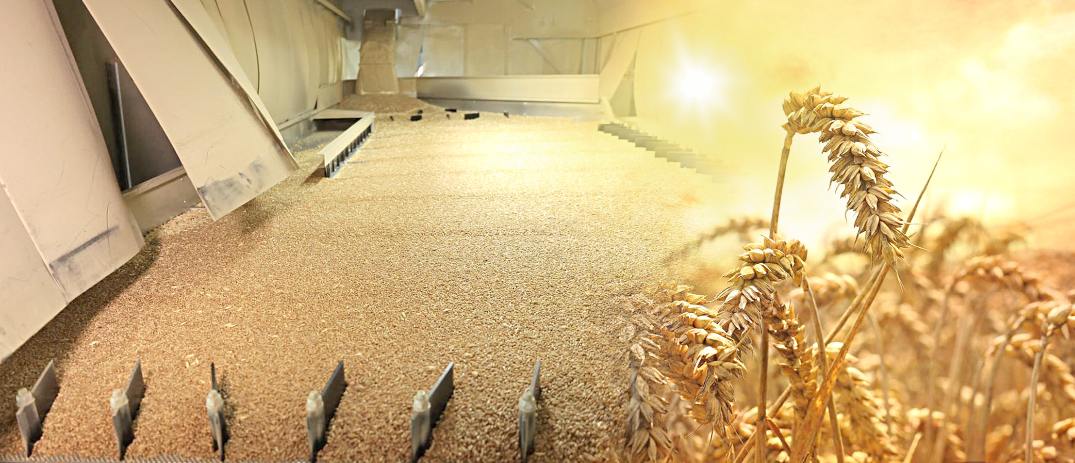 Bıdaı baǵasy alańdatady