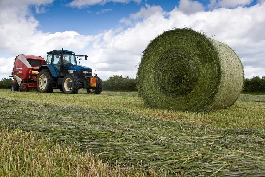 Shóp orý naýqany qyza tústi