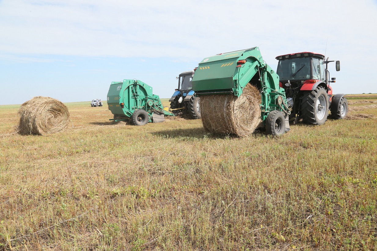 Shabyndyqqa shalǵy kesh salyndy