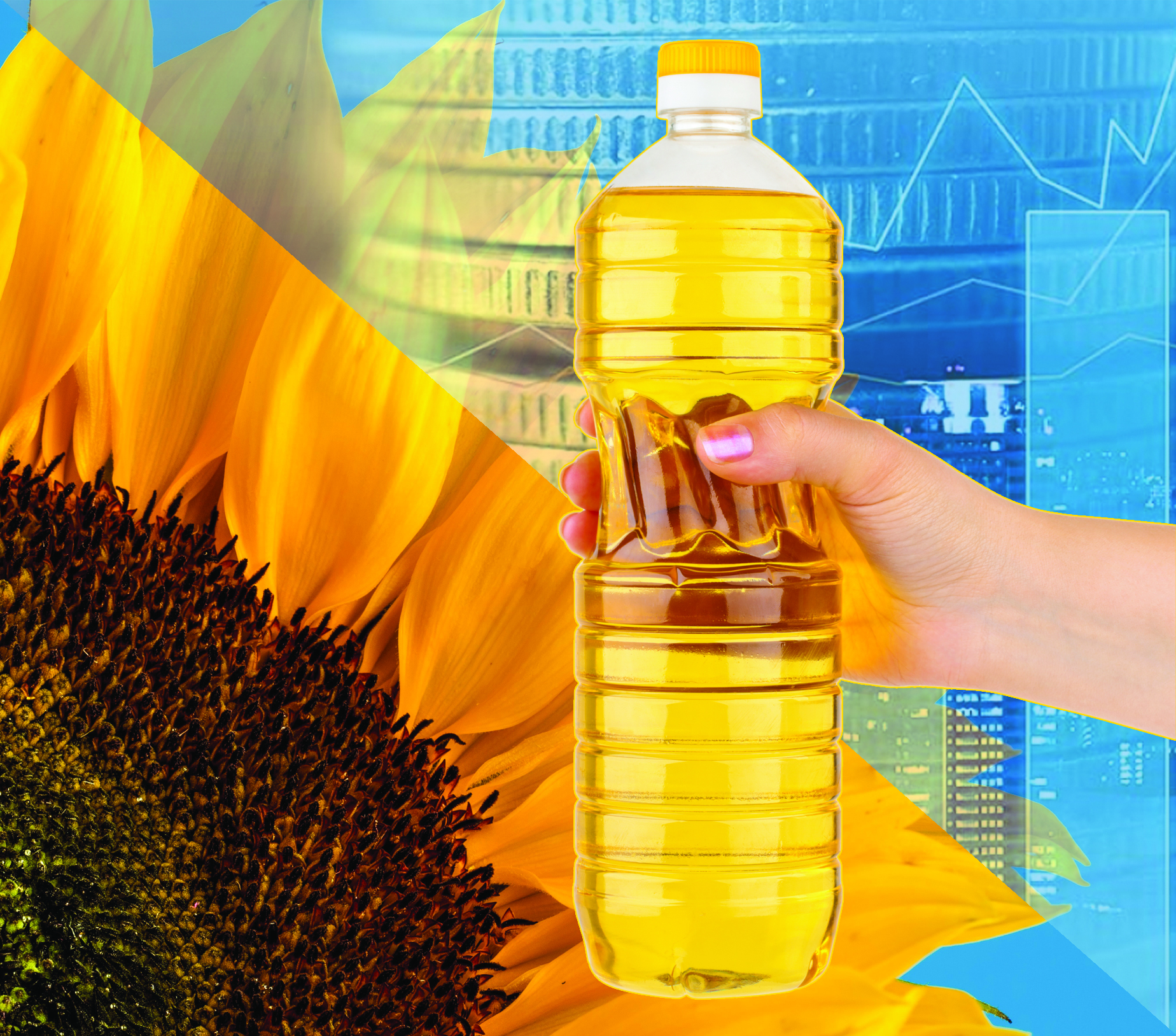 Qor bolǵan mol ónim