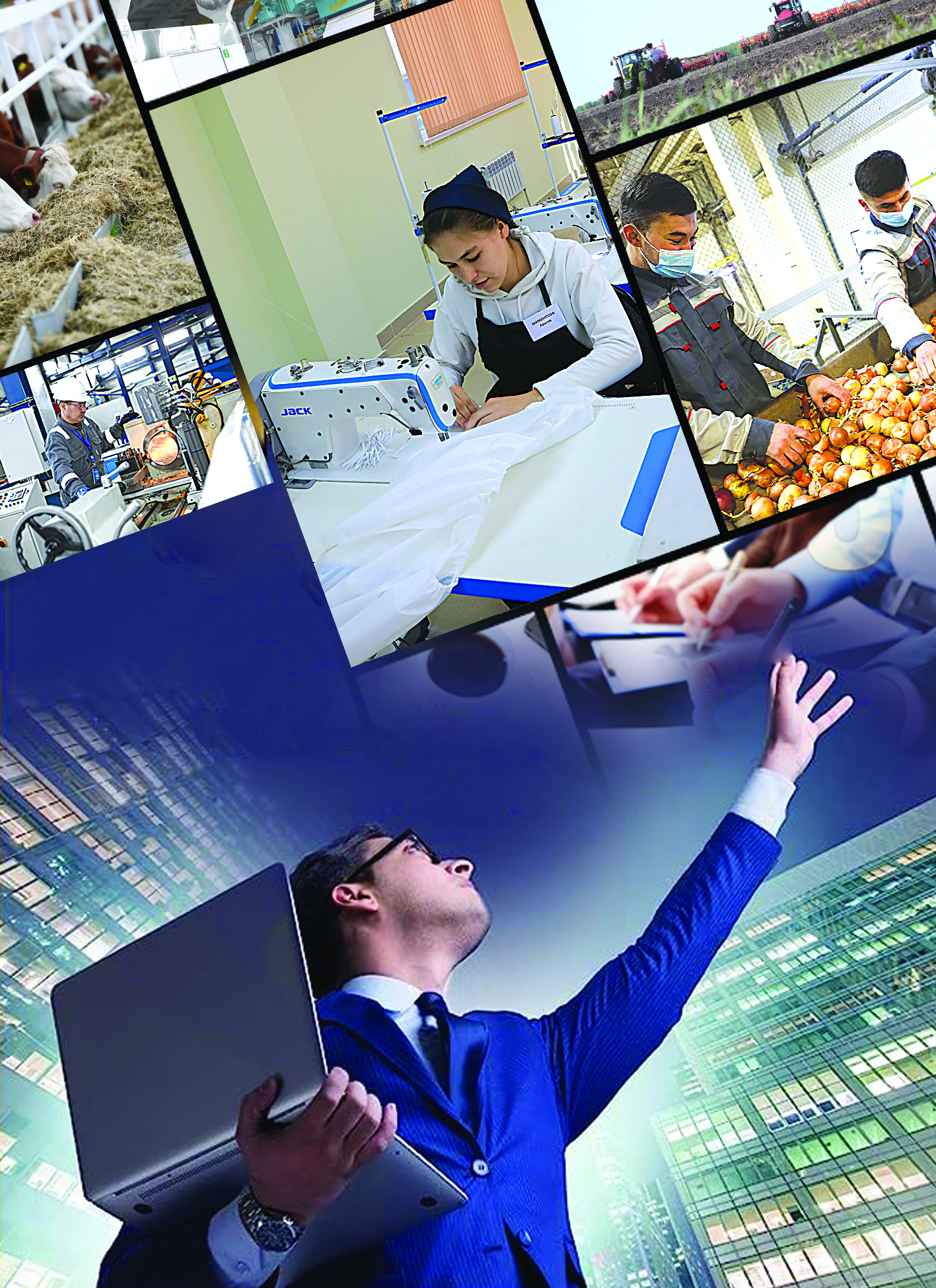 Shaǵyn bıznestiń aýqymdy máseleleri