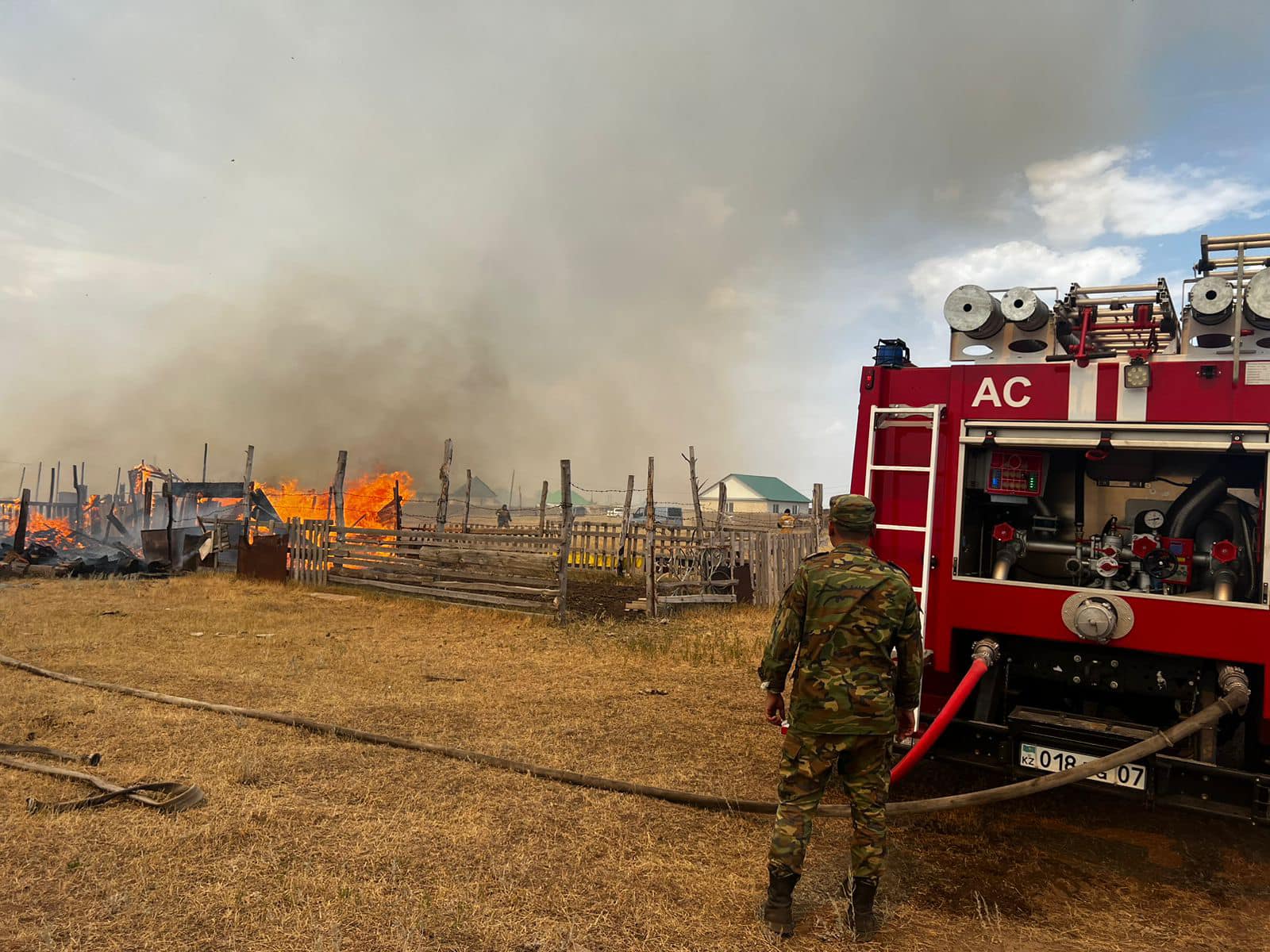 Batysta órt kóbeıdi
