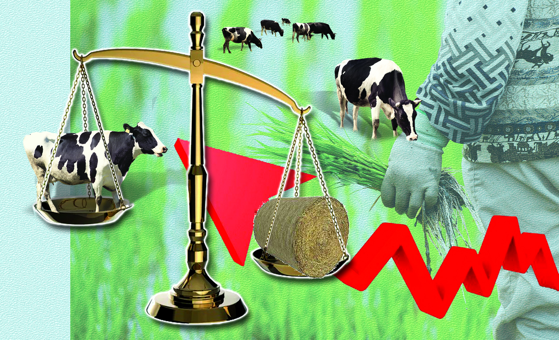 Mal arzan, shóp qymbat