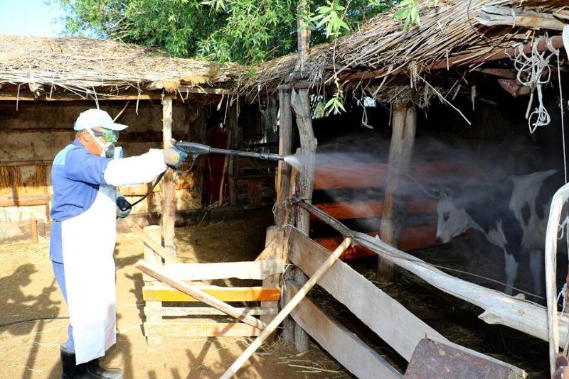 Keneden keler qaýip kóp