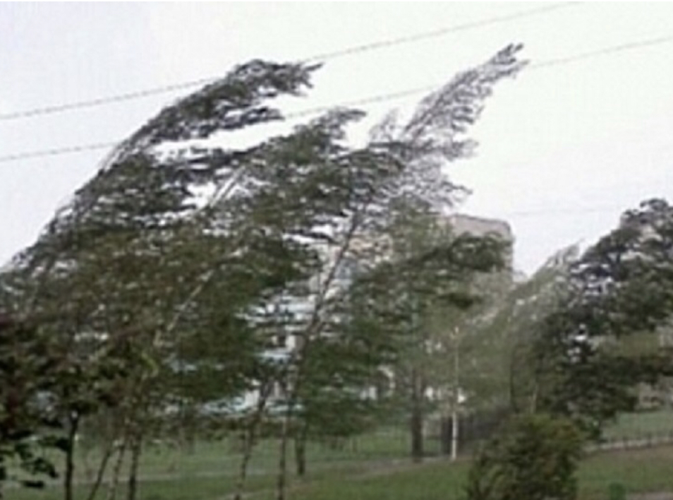 Eldiń basym bóliginde daýyl soǵady