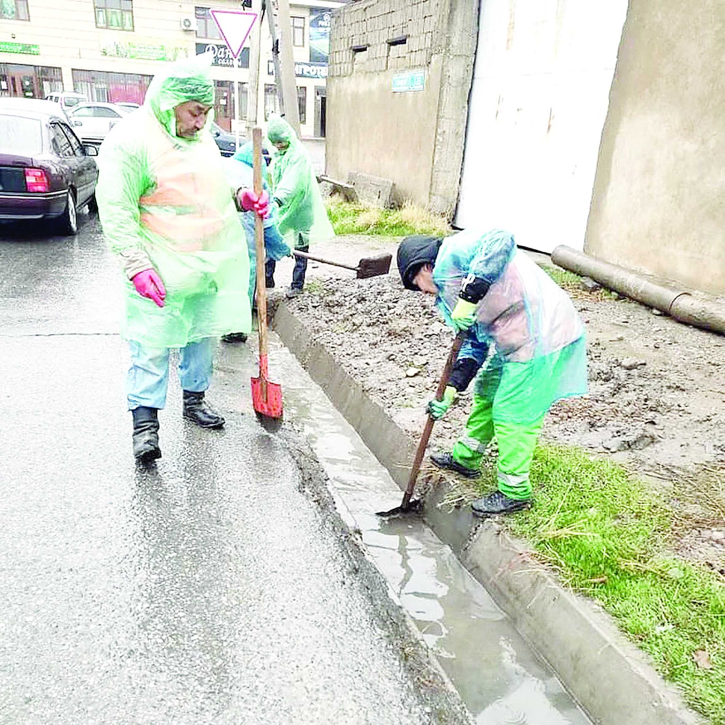 Jasyl jelekke oranǵan shahar